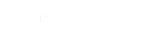 Doublestar casino logo