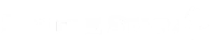 Doublestar casino logo