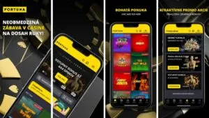 Fortuna casino – recenzia a hodnotenie